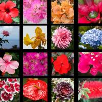 29.k�p