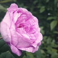 13.k�p